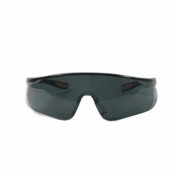 SAFETY GLASSES HAWK100